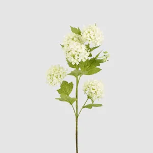 Snowball Spray White by Florabelle Living, a Plants for sale on Style Sourcebook