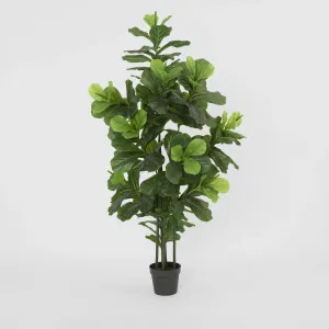 Fiddle Leaf Tree 175cm by TREE CREATIONS, a Christmas for sale on Style Sourcebook