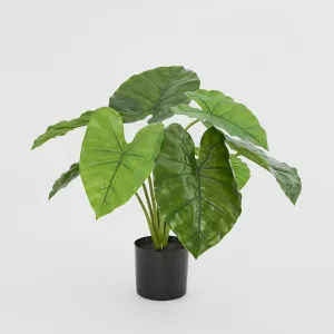 Potted Real Touch Philodendron 50cm by TREE CREATIONS, a Plants for sale on Style Sourcebook