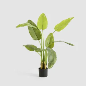 Bird of Paradise Real Touch 120cm by TREE CREATIONS, a Plants for sale on Style Sourcebook