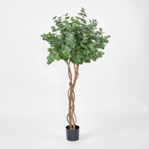 Eucalyptus Tree w 884 Lvs by TREE CREATIONS, a Plants for sale on Style Sourcebook