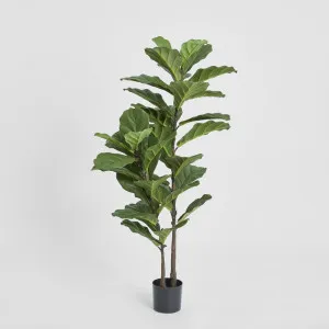 Fiddle Leaf Tree 1.13m by TREE CREATIONS, a Christmas for sale on Style Sourcebook