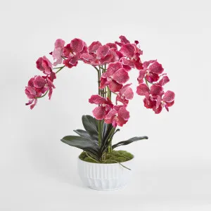 Colette Arrangement White by Florabelle Living, a Plants for sale on Style Sourcebook