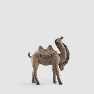 Abe Ceramic Camel by Florabelle Living, a Statues & Ornaments for sale on Style Sourcebook