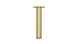 Straight 150mm Brushed Gold Cabinet Leg by Timberline, a Cabinet Hardware for sale on Style Sourcebook