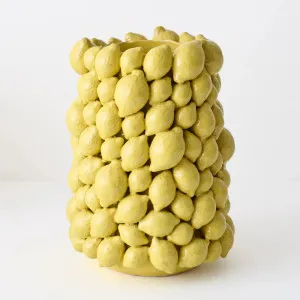 Citrico Vase Large 26cml x 25cmw x 36cmh by Floral Interiors, a Vases & Jars for sale on Style Sourcebook