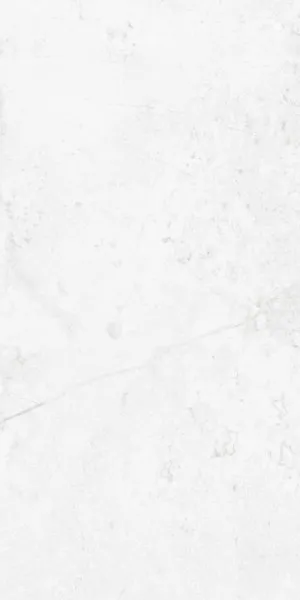 Forma Leonardo Arctic Chill (Satin) 300x600 by Sanctuary Makers, a Concrete Look Tiles for sale on Style Sourcebook