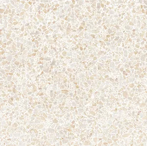 Terra Foray Biscotti Beige (Satin) 600x600 by Sanctuary Makers, a Terrazzo Look Tiles for sale on Style Sourcebook