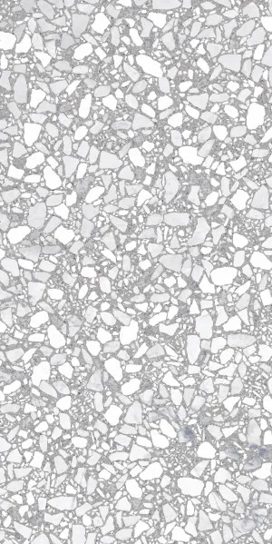 Terra Foray Silver Lining (Matt) 300x600 by Sanctuary Makers, a Terrazzo Look Tiles for sale on Style Sourcebook