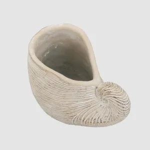 Nautica Shell Sculpture by Florabelle Living, a Statues & Ornaments for sale on Style Sourcebook