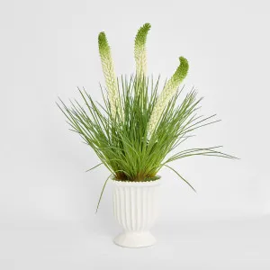 Cream Foxtail Arrangement White by Florabelle Living, a Plants for sale on Style Sourcebook