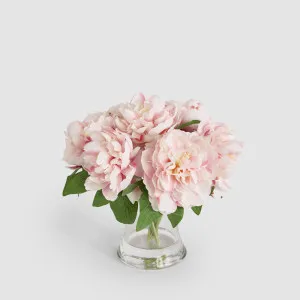 Peonies in Water Vase Pink by Florabelle Living, a Plants for sale on Style Sourcebook