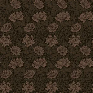 Chrysanthemums Dark Brown Wallpaper by Urban Road, a Wallpaper for sale on Style Sourcebook