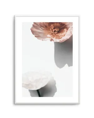 Abstract Poppies IV by oliveetoriel.com, a Original Artwork for sale on Style Sourcebook