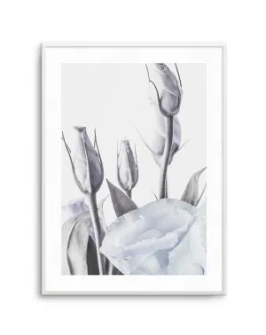Blue Lisianthus II by oliveetoriel.com, a Original Artwork for sale on Style Sourcebook