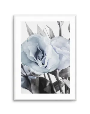 Blue Lisianthus IV by oliveetoriel.com, a Original Artwork for sale on Style Sourcebook