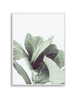 Fiddle Fig II by oliveetoriel.com, a Original Artwork for sale on Style Sourcebook