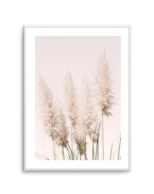 Nude Pampas I by oliveetoriel.com, a Original Artwork for sale on Style Sourcebook