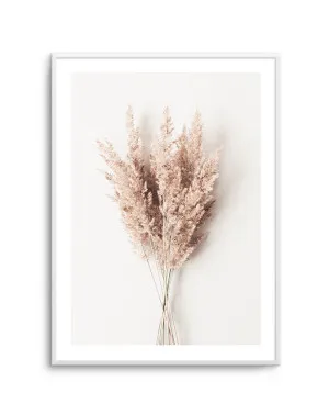Bundled Beauty by oliveetoriel.com, a Original Artwork for sale on Style Sourcebook