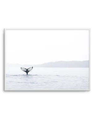 Whale Song by oliveetoriel.com, a Prints for sale on Style Sourcebook