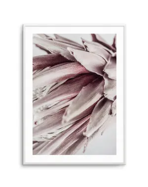 Abstract Protea II by oliveetoriel.com, a Prints for sale on Style Sourcebook