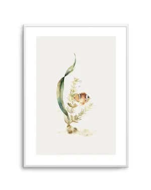 Watercolour Fish by oliveetoriel.com, a Prints for sale on Style Sourcebook