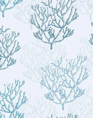 Hamptons Coral Wallpaper by oliveetoriel.com, a Wallpaper for sale on Style Sourcebook