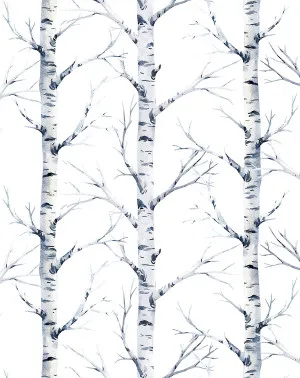 Birch Trees Forest Wallpaper by oliveetoriel.com, a Wallpaper for sale on Style Sourcebook