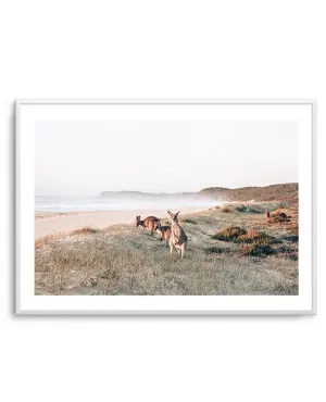 Kangaroos at Dusk by oliveetoriel.com, a Prints for sale on Style Sourcebook