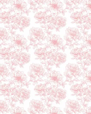 Pink Rosewater Sketch Wallpaper by oliveetoriel.com, a Wallpaper for sale on Style Sourcebook