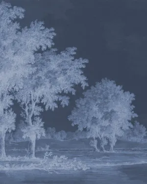 Vintage Oak Tree Midnight Blue Wallpaper Mural by oliveetoriel.com, a Wallpaper for sale on Style Sourcebook