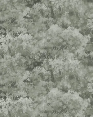 Tranquil Canopy in Deep Sage Green Wallpaper by oliveetoriel.com, a Wallpaper for sale on Style Sourcebook