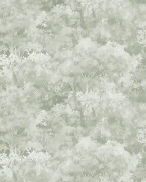 Tranquil Canopy in Sage Green Wallpaper by oliveetoriel.com, a Wallpaper for sale on Style Sourcebook