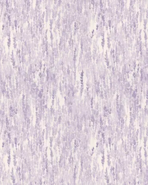 Sweet Lavender Wallpaper Mural by oliveetoriel.com, a Wallpaper for sale on Style Sourcebook