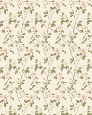 Soft Pink Trellis Rose Wallpaper by oliveetoriel.com, a Wallpaper for sale on Style Sourcebook