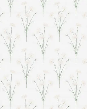 Soft Daisy Drop Wallpaper by oliveetoriel.com, a Wallpaper for sale on Style Sourcebook