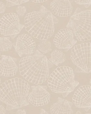 Seashells in Sand Wallpaper by oliveetoriel.com, a Wallpaper for sale on Style Sourcebook
