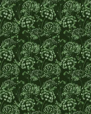 Dandelions in Bloom in Dark green Wallpaper by oliveetoriel.com, a Wallpaper for sale on Style Sourcebook
