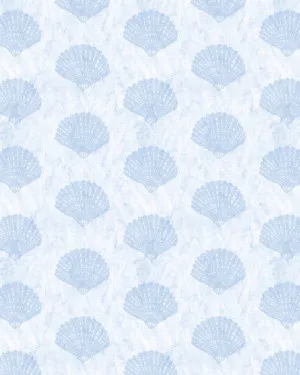 Coastal Shell in Ice Blue Wallpaper by oliveetoriel.com, a Wallpaper for sale on Style Sourcebook