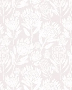 Protea in Bloom in Soft Pink Wallpaper by oliveetoriel.com, a Wallpaper for sale on Style Sourcebook