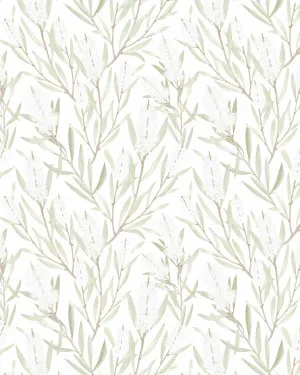 Bush Walk in Sage Green Wallpaper by oliveetoriel.com, a Wallpaper for sale on Style Sourcebook