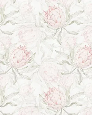 Paradise Protea in Soft Pink & Sage Green Wallpaper by oliveetoriel.com, a Wallpaper for sale on Style Sourcebook