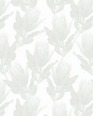 Protea Luxe in Sage Green Wallpaper by oliveetoriel.com, a Wallpaper for sale on Style Sourcebook