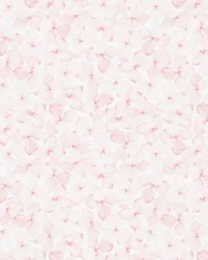 Fallen Flowers in Soft Pink Wallpaper by oliveetoriel.com, a Wallpaper for sale on Style Sourcebook