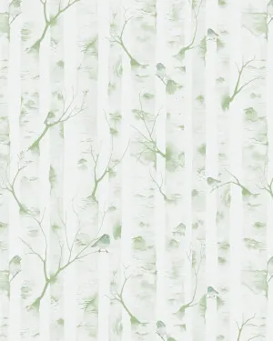 Woodland Birds in Sage Green Wallpaper by oliveetoriel.com, a Wallpaper for sale on Style Sourcebook