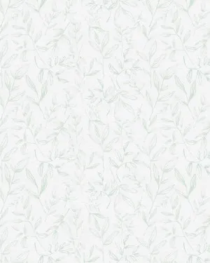 Falling Sketched Leaves in Sage Green Wallpaper by oliveetoriel.com, a Wallpaper for sale on Style Sourcebook