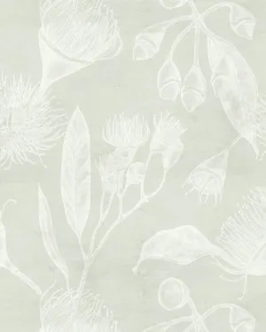 Flowering Gum in Sage Green Wallpaper by oliveetoriel.com, a Wallpaper for sale on Style Sourcebook