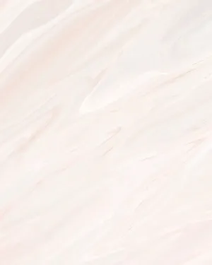 Rose Pink Marble Wallpaper Mural by oliveetoriel.com, a Wallpaper for sale on Style Sourcebook