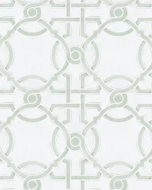 Sketched Trellis in Sage Green Wallpaper by oliveetoriel.com, a Wallpaper for sale on Style Sourcebook