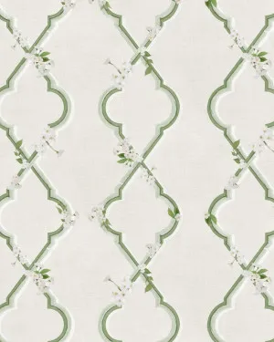 Country Garden Lattice in Forest Green Wallpaper by oliveetoriel.com, a Wallpaper for sale on Style Sourcebook
